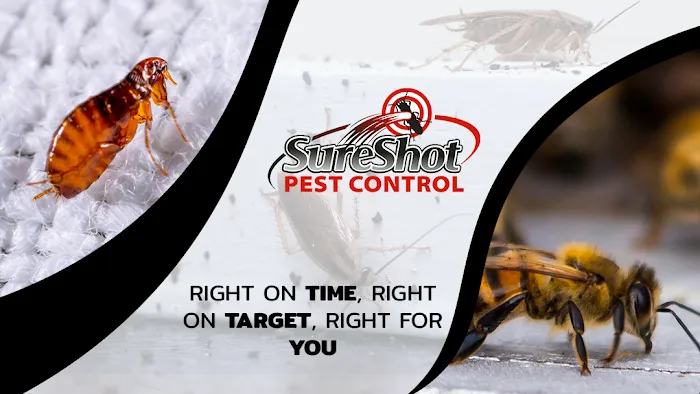 SureShot Pest Control Picture 2