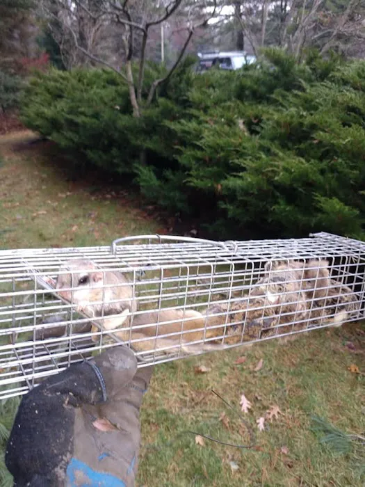Varmint Evictors, Inc. Picture 4