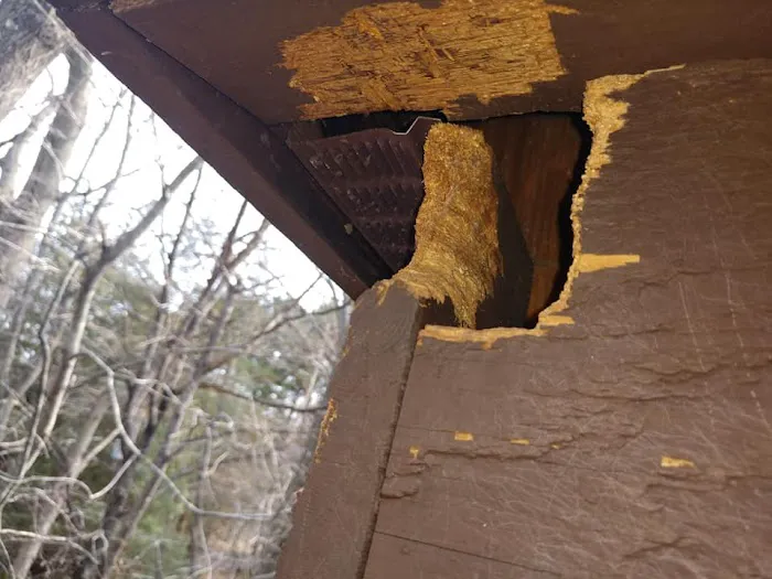 Varmint Evictors, Inc. Picture 9