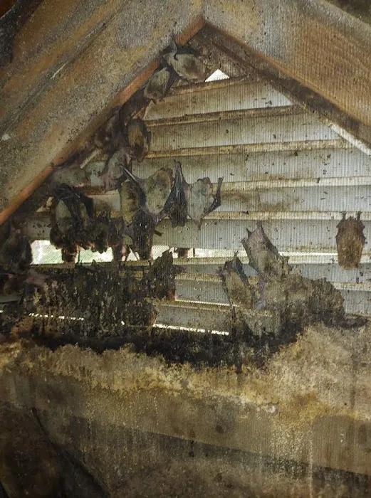 Varmint Evictors, Inc. Picture 6