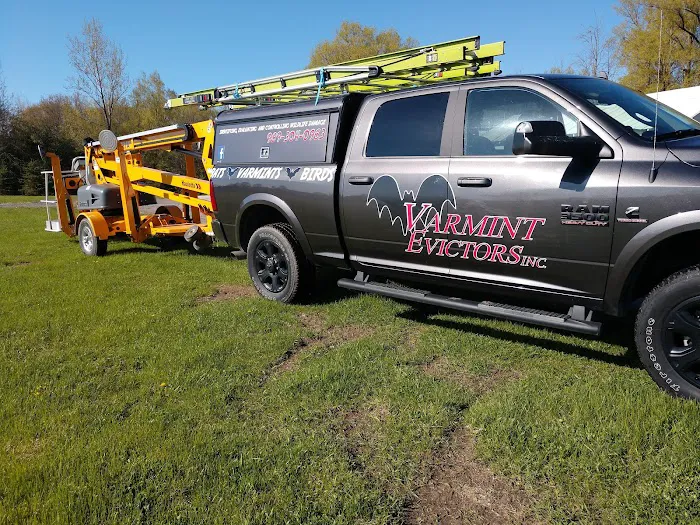 Varmint Evictors, Inc. Picture 10