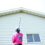 Pest Badger Grand Rapids