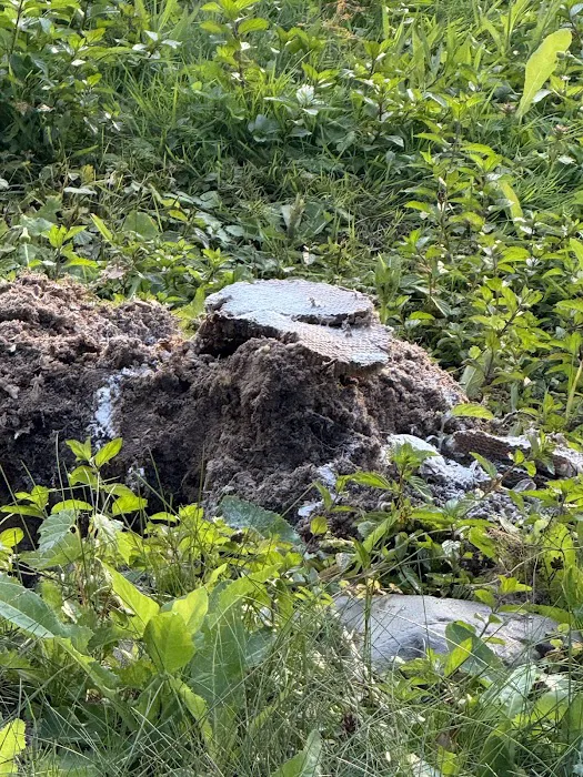 Pest Badger Grand Rapids Picture 5
