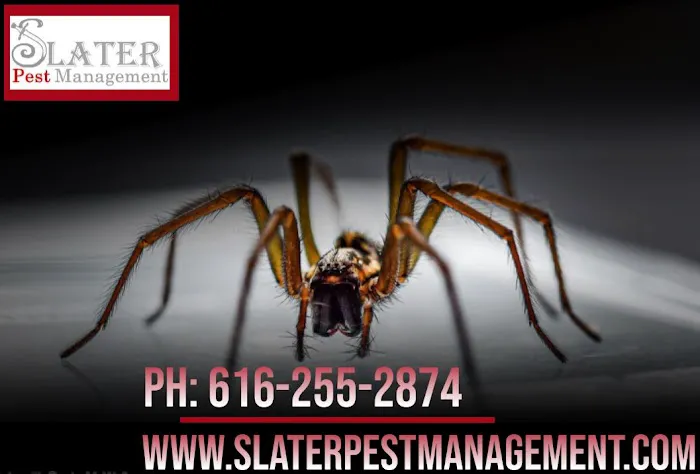 Slater Pest Management Picture 3
