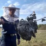 Slater Pest Management