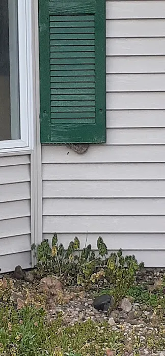 West Michigan Pest Control Picture 4