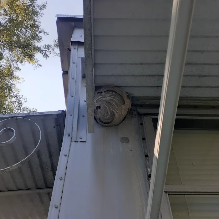 West Michigan Pest Control Picture 8