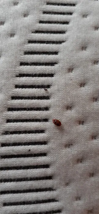 West Michigan Pest Control Picture 7
