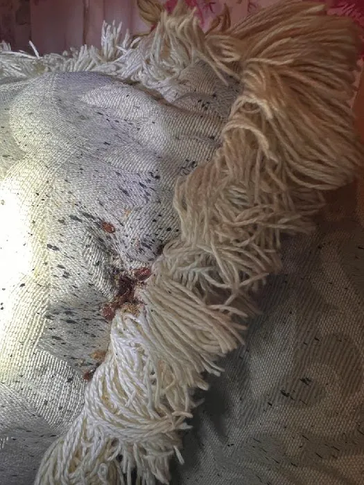 A1-Termite & Pest Control Picture 7