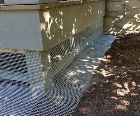 Peoria Wildlife Control