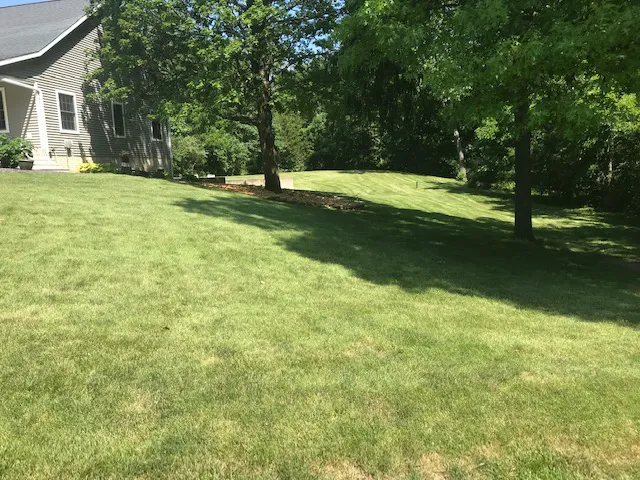Naturescape Lawn and Landscape Care Picture 3