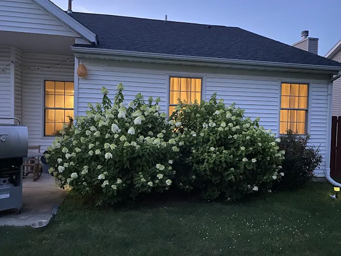 Mosquito Squad of Central Illinois Picture 7