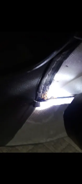 A-1 Bed Bug Heat Remediation Picture 9