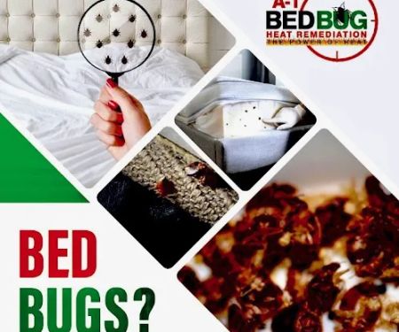 A-1 Bed Bug Heat Remediation