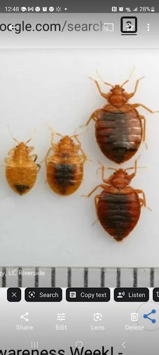 A-1 Bed Bug Heat Remediation Picture 6
