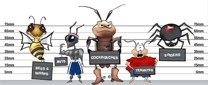 B & B Pest Control Picture 1