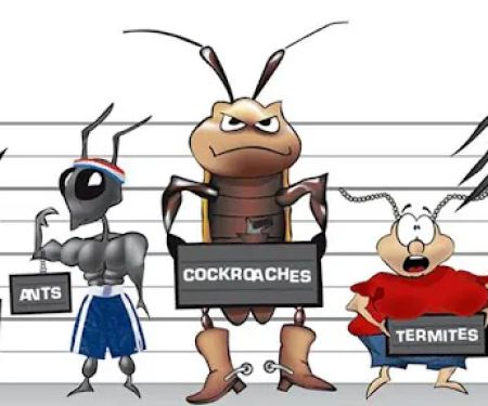 B & B Pest Control