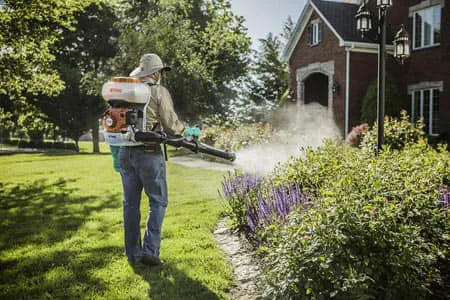 Pest Control Consultants Picture 3