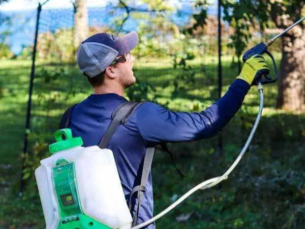 Pest Control Consultants Picture 8