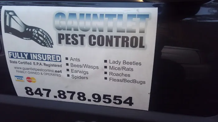 Gauntlet Pest Control Picture 3