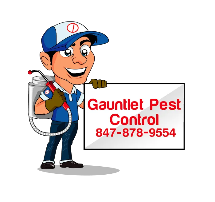 Gauntlet Pest Control Picture 8