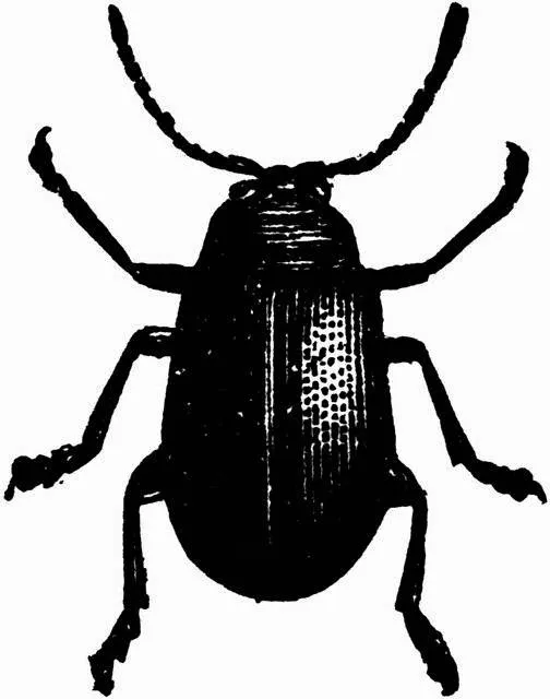Midwest Exterminating Picture 2