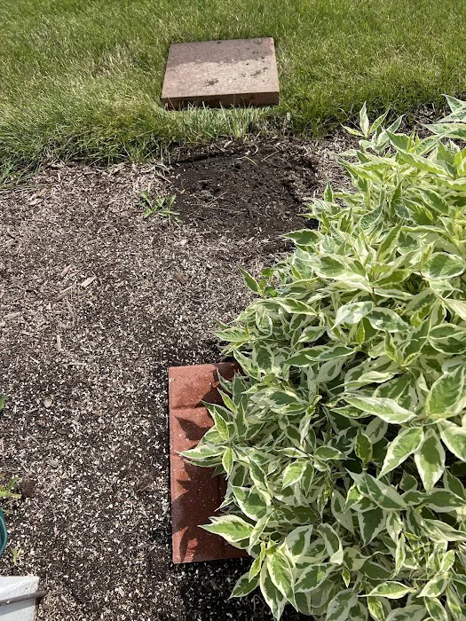 Pointe Pest Control Picture 3