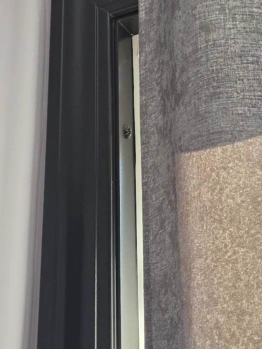 Pointe Pest Control Picture 2