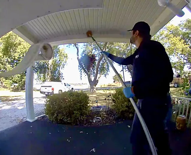 Pointe Pest Control Picture 1