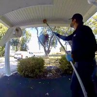 Pointe Pest Control ico