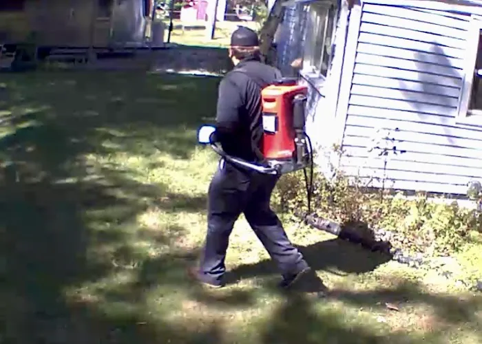 Pointe Pest Control Picture 4