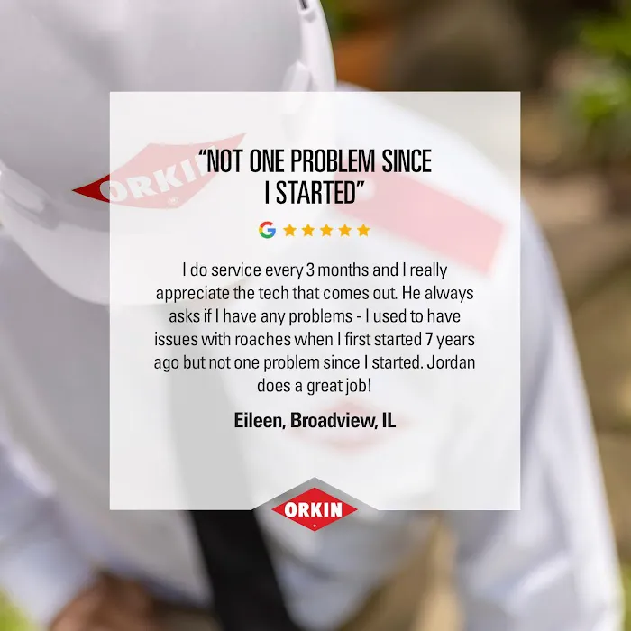 Orkin Picture 9