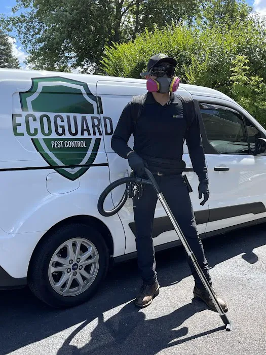 EcoGuard Pest Control Picture 5