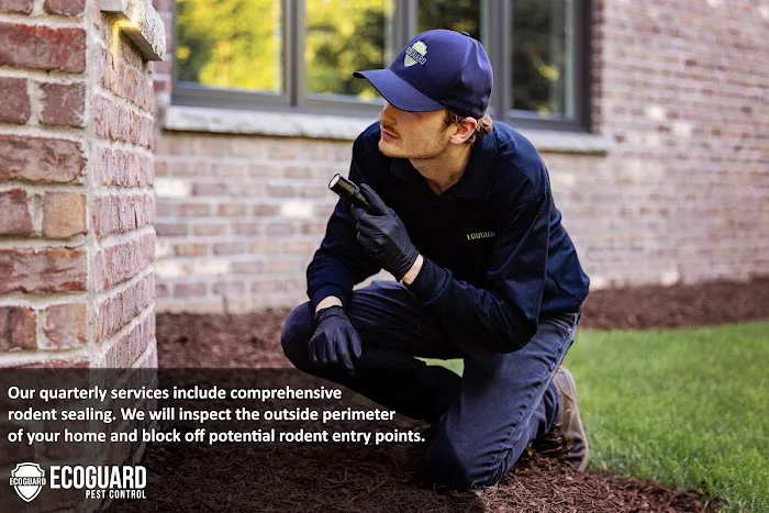 EcoGuard Pest Control Picture 3