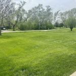 Chem-Wise Pest Control