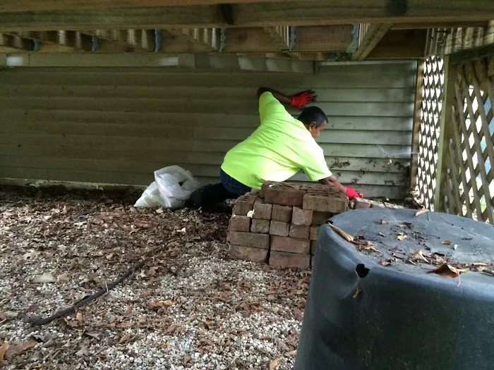 Enviro-Pro Professional Pest Management, Inc Picture 4