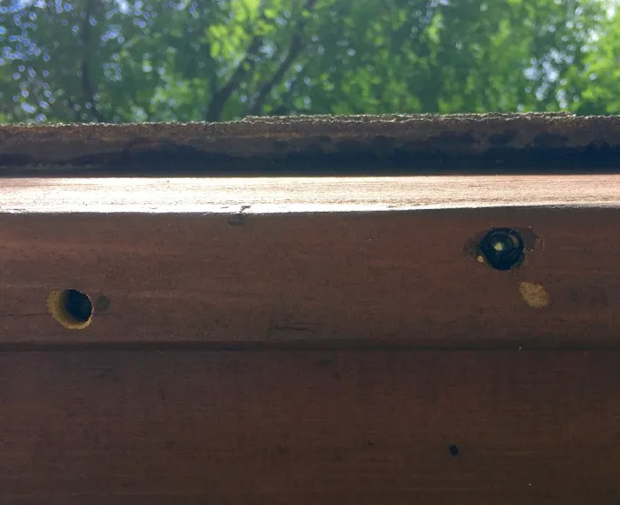 Enviro-Pro Professional Pest Management, Inc Picture 8