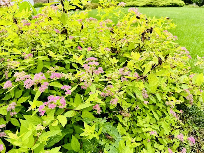 Enviro-Pro Professional Pest Management, Inc Picture 5