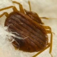 Mid Central Pest Control ico