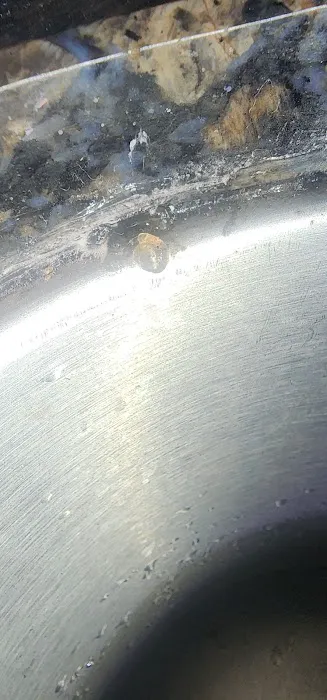 Plunkett's Pest Control Picture 2