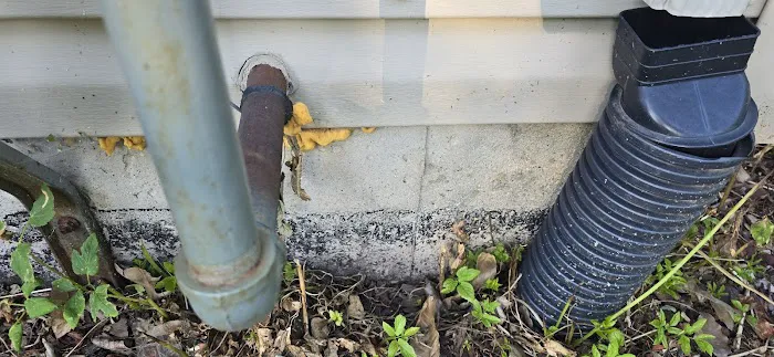 Chem-Wise Pest Control Picture 10