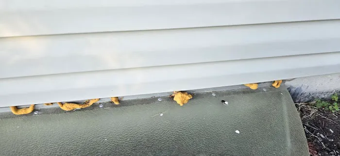 Chem-Wise Pest Control Picture 7