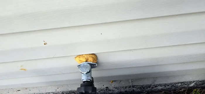 Chem-Wise Pest Control Picture 6
