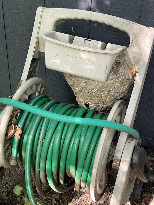 DTG Pest Control Picture 1