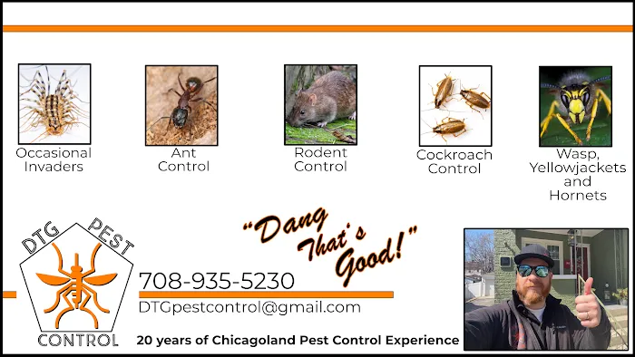 DTG Pest Control Picture 4