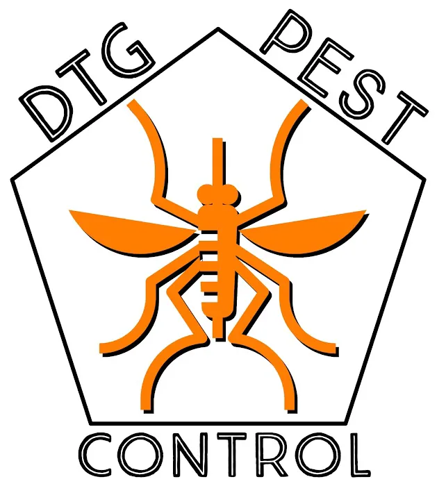 DTG Pest Control Picture 5