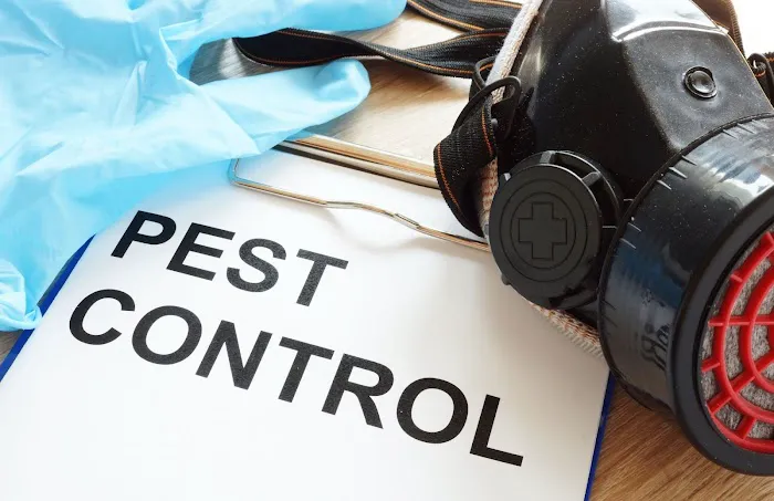 Aurora Pest Control Co Picture 9