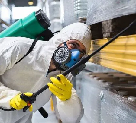 Aurora Pest Control Co Picture 4