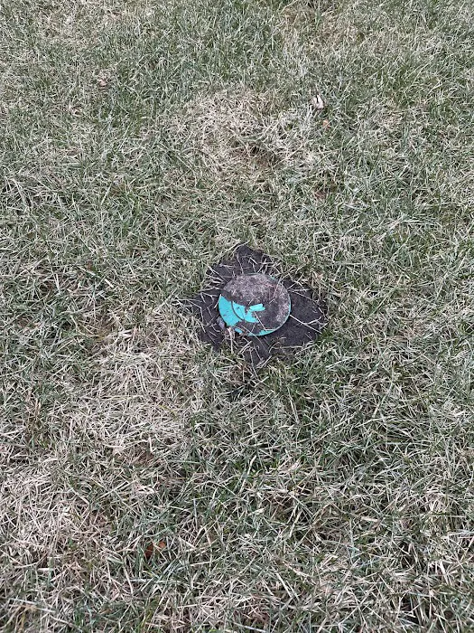 Fox Pest Control Picture 8