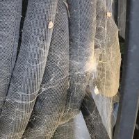 Fox Pest Control ico
